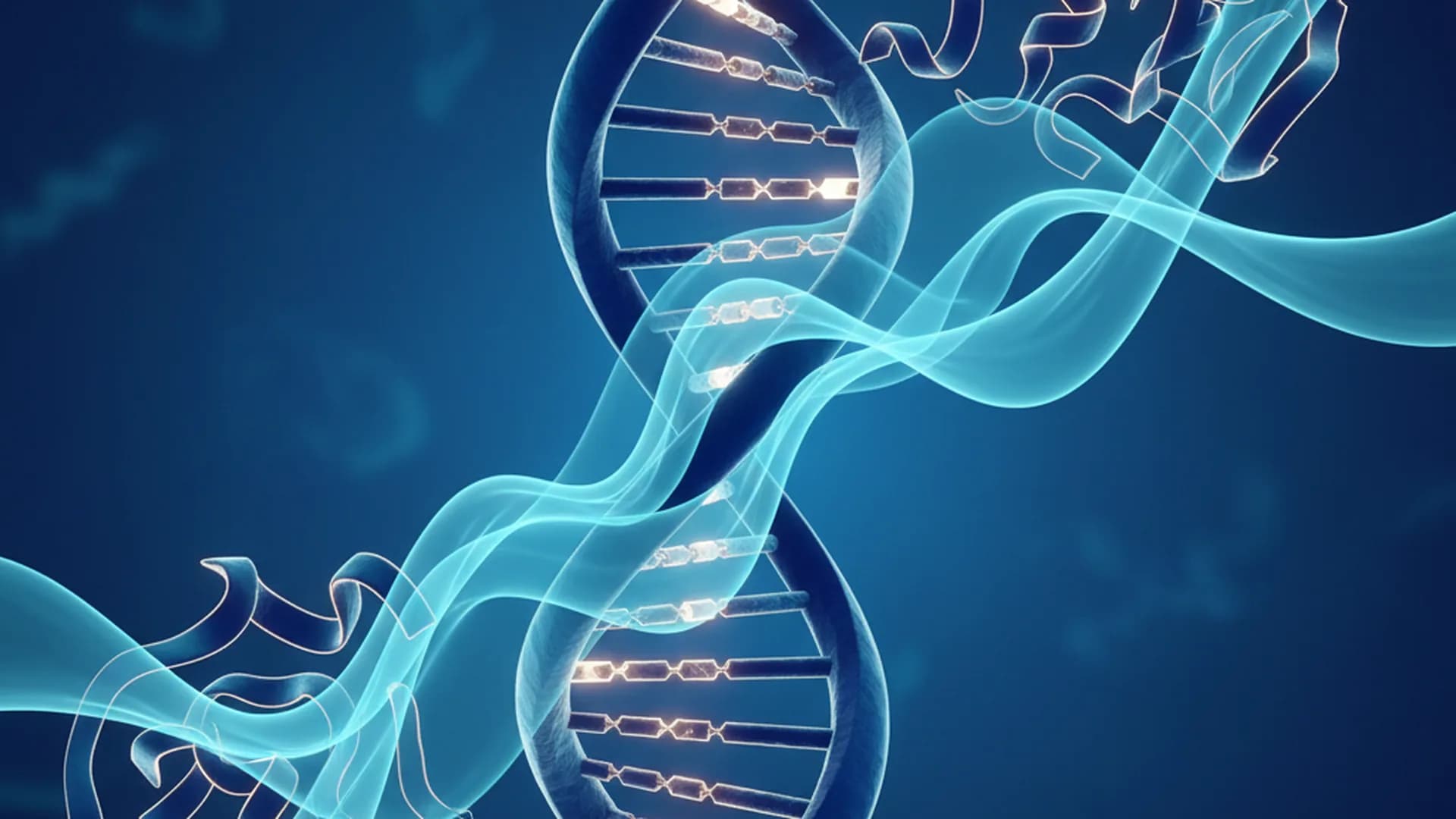 Visualisation for: Genetic Variants Reprogram Colorectal Cancer Through RNA Methylation